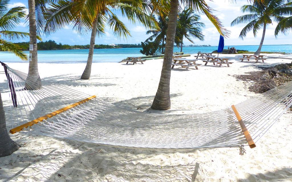 Bluff House Beach Resort & Marina Green Turtle Cay Buitenkant foto