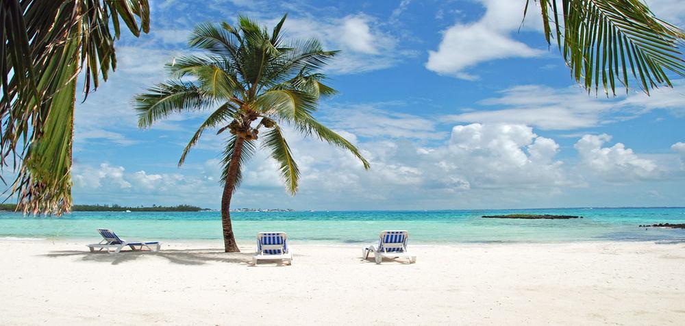 Bluff House Beach Resort & Marina Green Turtle Cay Buitenkant foto