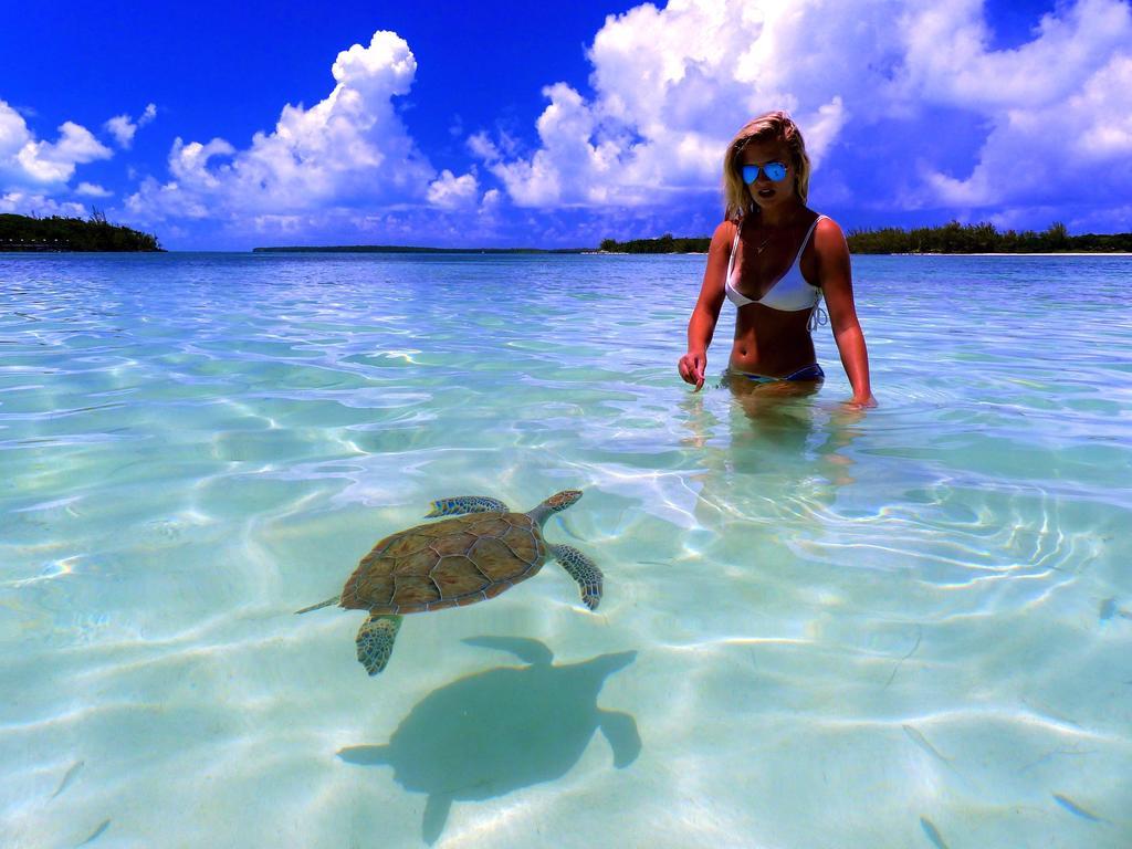 Bluff House Beach Resort & Marina Green Turtle Cay Buitenkant foto